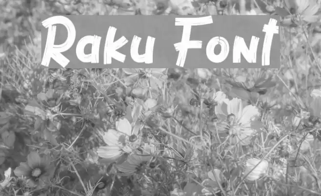 Raku Font examples