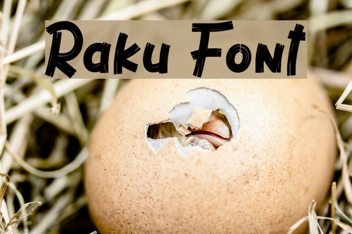 Raku Font examples