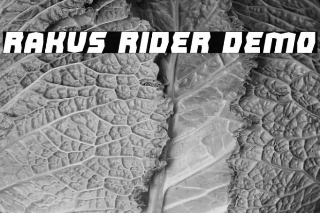 Rakus Rider Demo Font examples