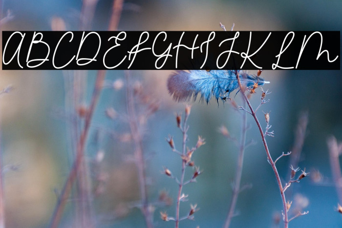 Raleigh Modesto Example 1