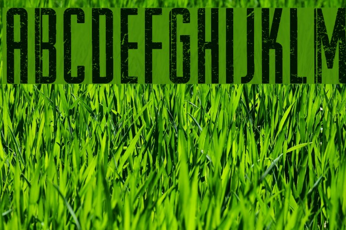 Raleigh Rock Font examples
