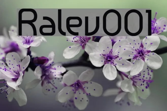 Ralev001 Example 3