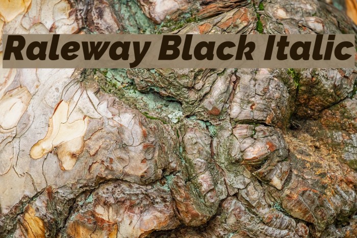 Raleway Black Italic Font examples