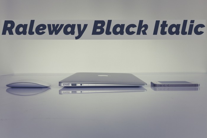Raleway Black Italic Font examples