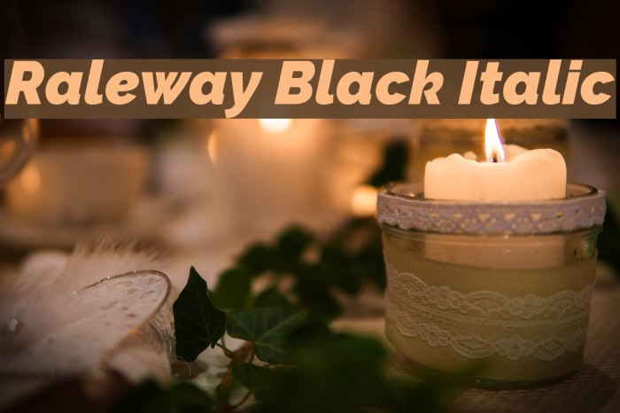 Raleway Black Italic Font examples