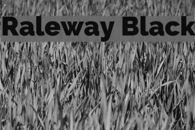 Raleway Black Font examples