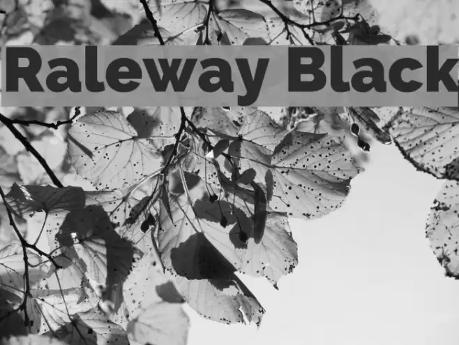 Raleway Black Font examples