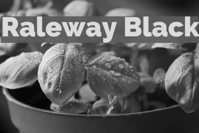 Raleway Black Font examples