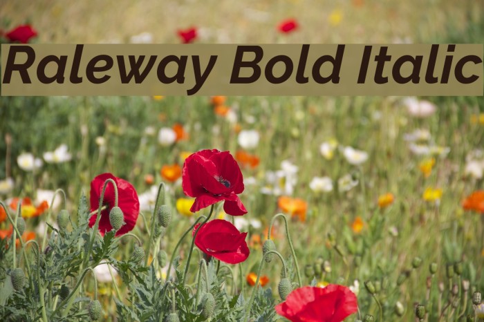 Raleway Bold Italic Font examples
