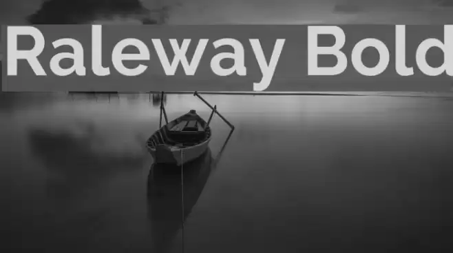 Raleway Bold Font examples