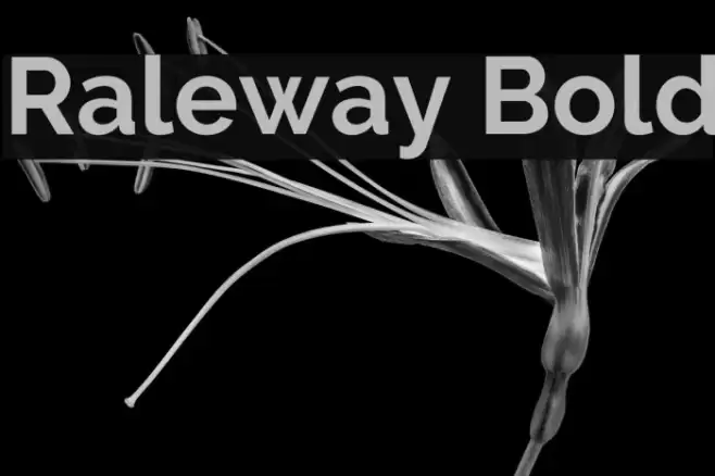 Raleway Bold Font examples