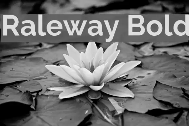 Raleway Bold Font examples