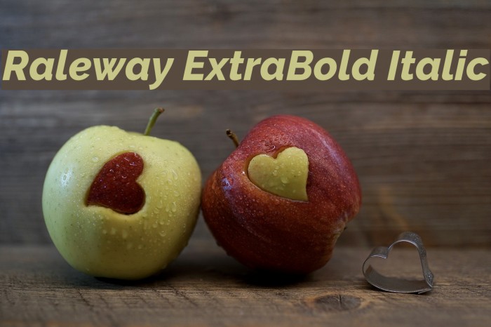 Raleway ExtraBold Italic Font examples