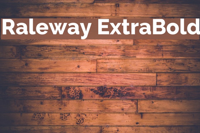 Raleway ExtraBold फ़ॉन्ट examples