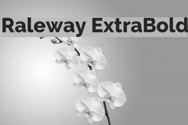 Raleway ExtraBold फ़ॉन्ट examples
