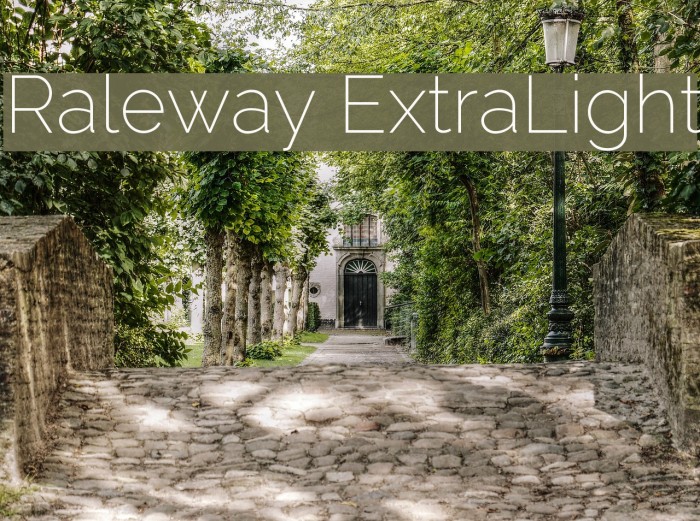 Raleway ExtraLight Font examples