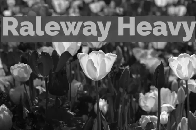 Raleway Heavy Font examples