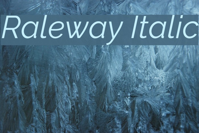 Raleway Italic Font examples