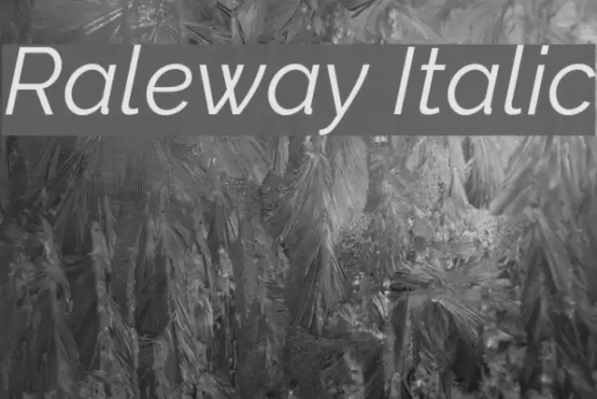 Raleway Italic Font examples