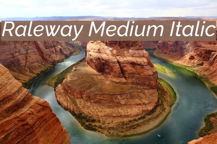 Raleway Medium Italic Font examples