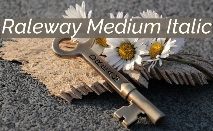 Raleway Medium Italic Font examples