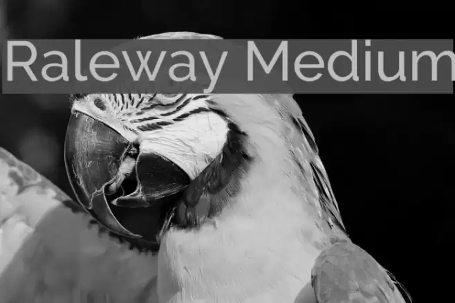 Raleway Medium Font examples