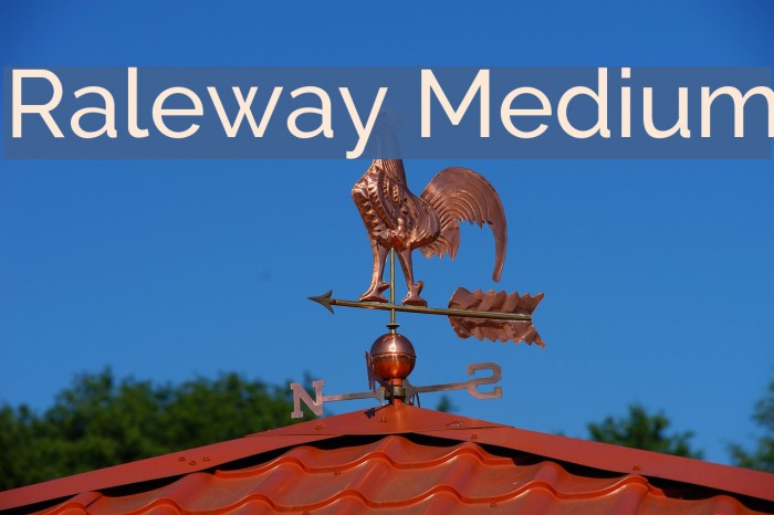 Raleway Medium Font examples