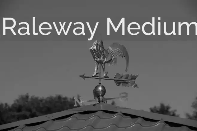 Raleway Medium Font examples