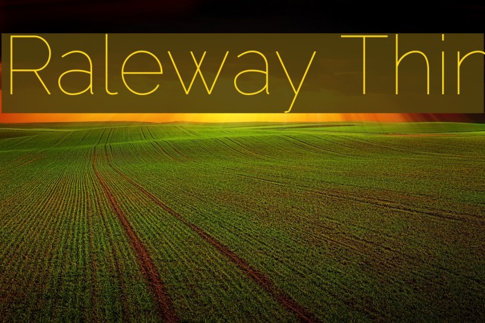 Raleway Thin Font examples