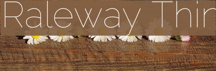 Raleway Thin Font examples