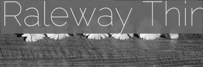 Raleway Thin Font examples