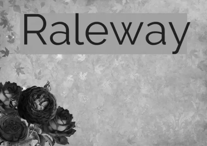 Raleway Font examples