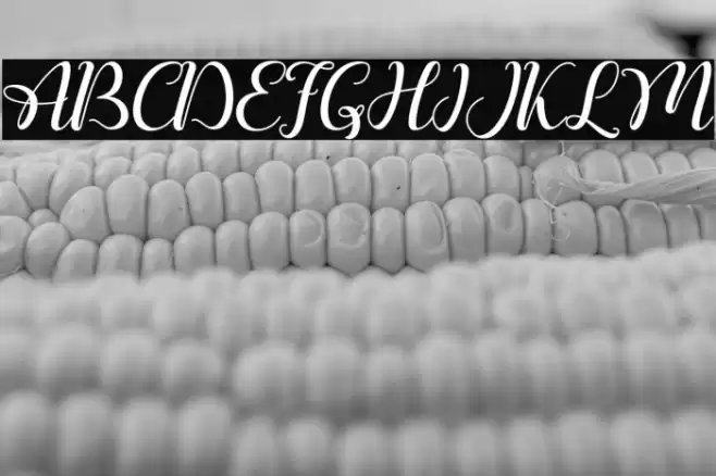 Ralilea Font examples