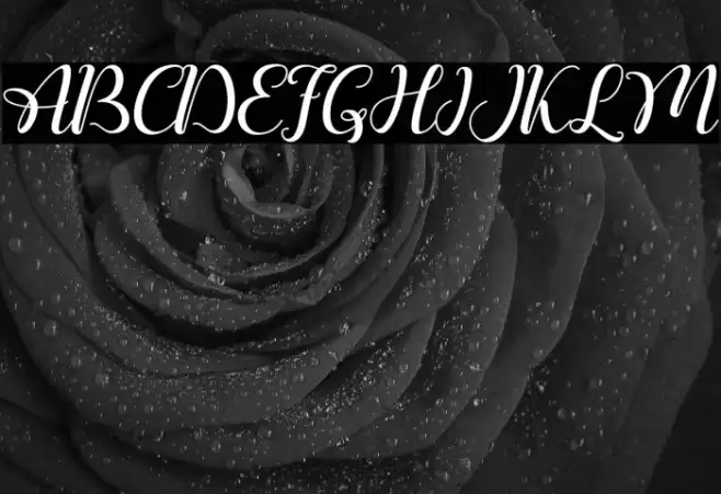 Ralilea Font examples