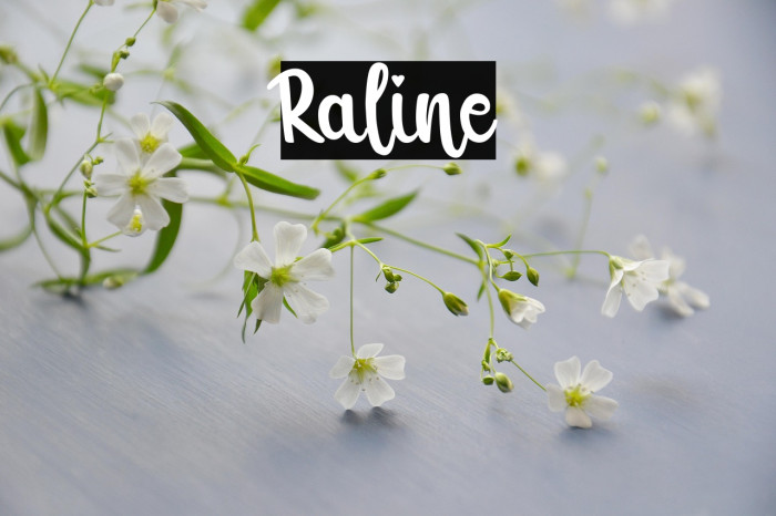 Raline Example 3