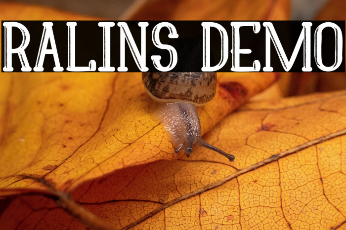 Ralins Demo Example 2