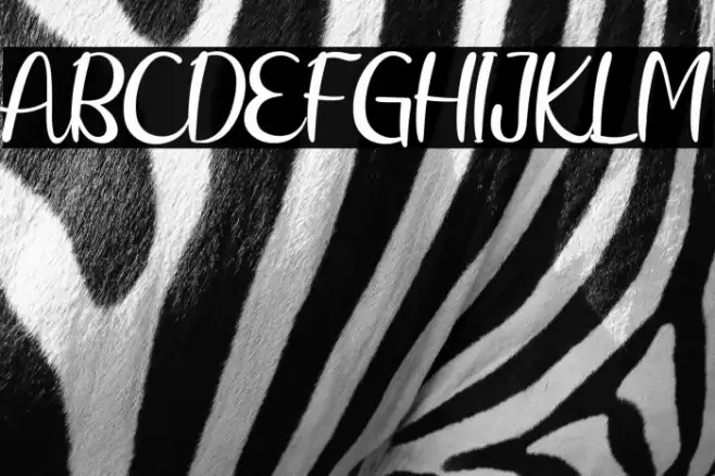 Raliqa Font examples