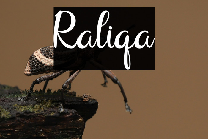 Raliqa Example 2