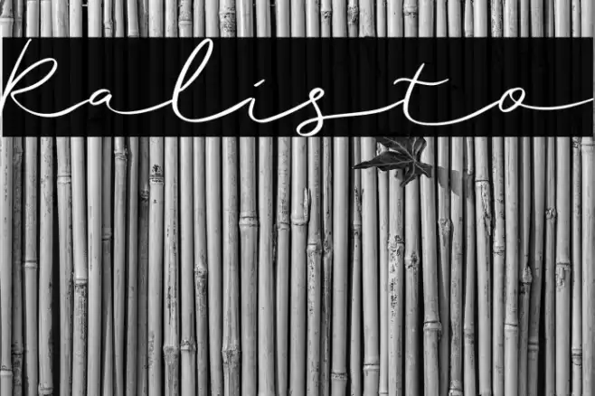 Ralisto Font examples