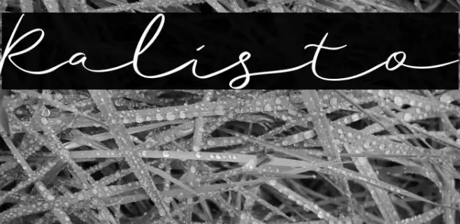 Ralisto Font examples