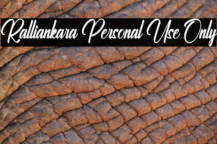 Ralliankara Personal Use Only Fonte examples