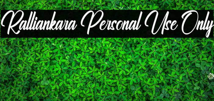Ralliankara Personal Use Only Fonte examples