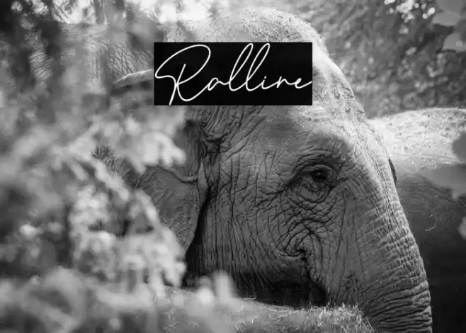 Ralline Font examples