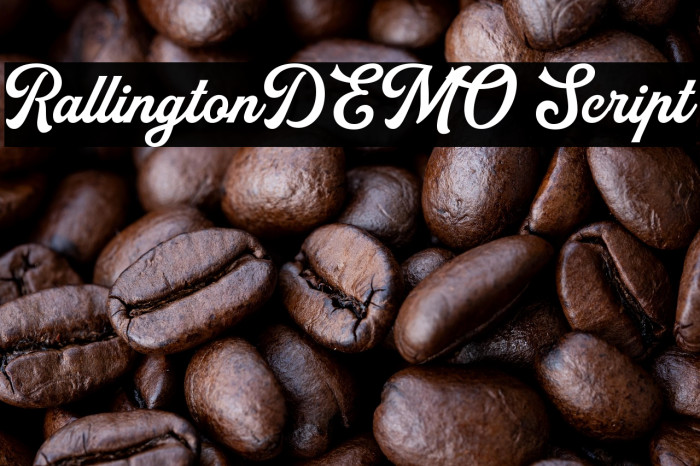 RallingtonDEMO Script Example 1