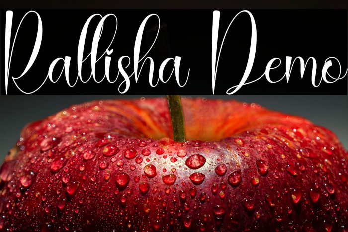 Rallisha Demo Example 2