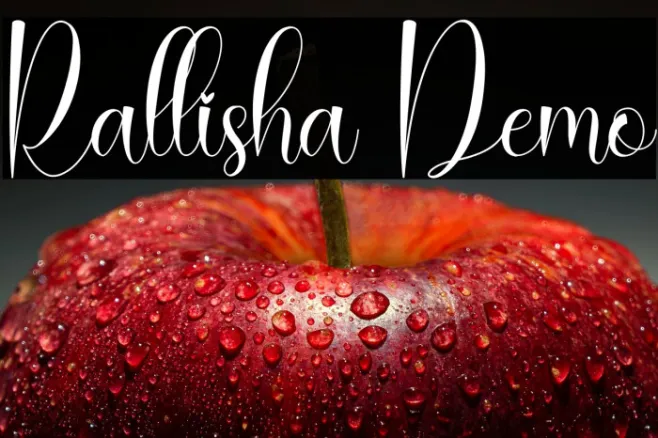 Rallisha Demo Example 2