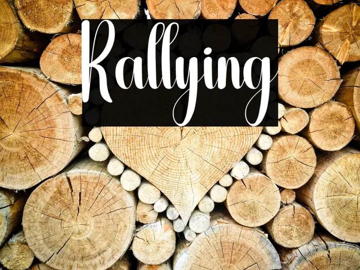 Rallying Example 1
