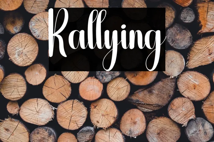 Rallying Example 3