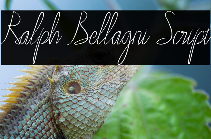 Ralph Bellagni Script Example 2