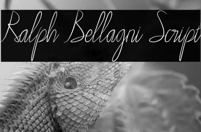 Ralph Bellagni Script Caratteri examples